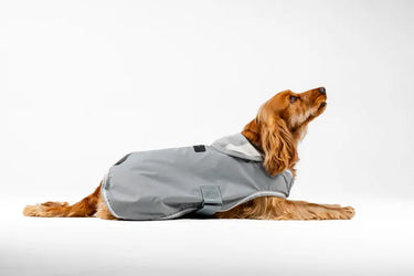 Horseware Ireland Newmarket Dog Coat Witney Charcoal| Online For Equine