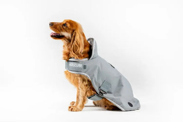 Horseware Ireland Newmarket Dog Coat Witney Charcoal| Online For Equine