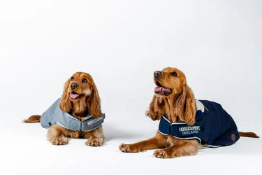 Horseware Ireland Newmarket Dog Coat Witney Charcoal| Online For Equine