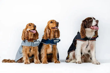 Horseware Ireland Newmarket Dog Coat Witney Gold| Online For Equine