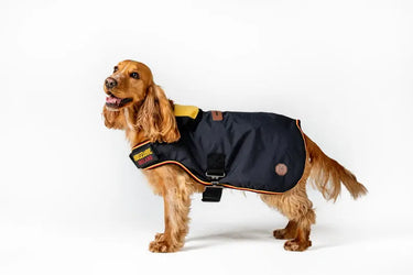 Horseware Ireland Newmarket Dog Coat Witney Gold| Online For Equine