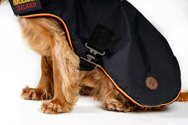 Horseware Ireland Newmarket Dog Coat Witney Gold| Online For Equine