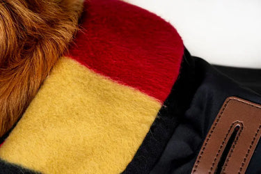 Horseware Ireland Newmarket Dog Coat Witney Gold| Online For Equine