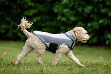Horseware Ireland Newmarket Dog Fleece| Online For Equine