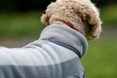 Horseware Ireland Newmarket Dog Fleece| Online For Equine