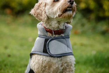 Horseware Ireland Newmarket Dog Fleece| Online For Equine