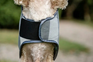 Horseware Ireland Newmarket Dog Fleece| Online For Equine