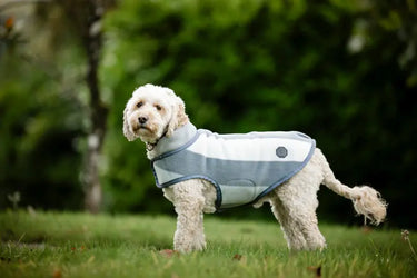 Horseware Ireland Newmarket Dog Fleece| Online For Equine