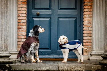 Horseware Ireland Newmarket Dog Fleece| Online For Equine