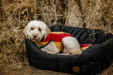 Horseware Ireland Newmarket Dog Fleece| Online For Equine