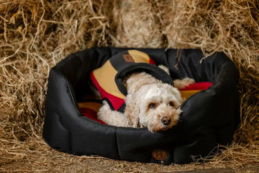 Horseware Ireland Newmarket Dog Fleece| Online For Equine