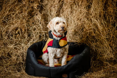 Horseware Ireland Newmarket Dog Fleece| Online For Equine