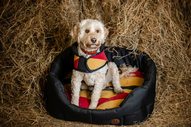 Horseware Ireland Newmarket Dog Fleece| Online For Equine