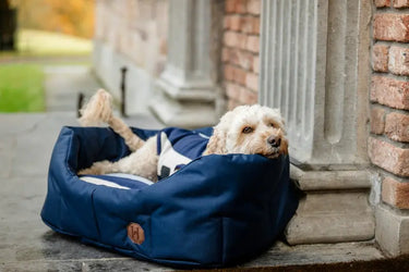 Horseware Ireland Newmarket Dog Fleece| Online For Equine
