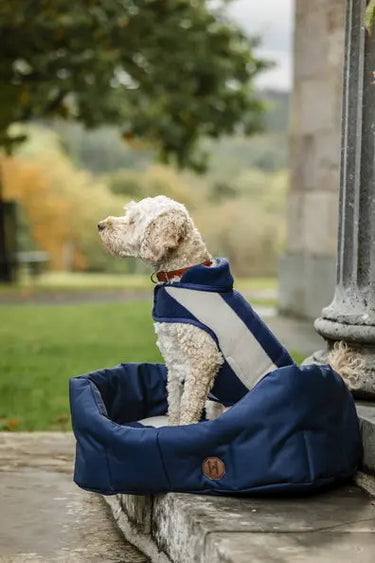 Horseware Ireland Newmarket Dog Fleece| Online For Equine