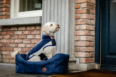 Horseware Ireland Newmarket Dog Fleece| Online For Equine