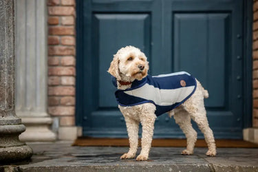 Horseware Ireland Newmarket Dog Fleece| Online For Equine