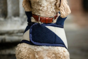 Horseware Ireland Newmarket Dog Fleece| Online For Equine