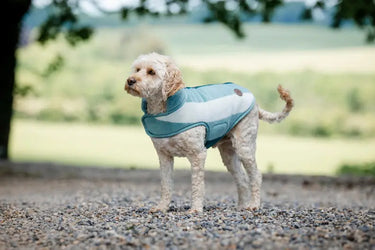 Horseware Ireland Newmarket Dog Fleece| Online For Equine