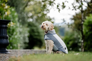 Horseware Ireland Newmarket Dog Fleece| Online For Equine