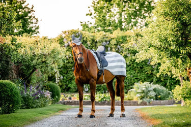 Horseware Ireland Newmarket Ear Net| Online For Equine