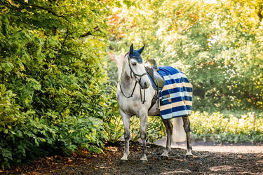 Horseware Ireland Newmarket Ear Net| Online For Equine