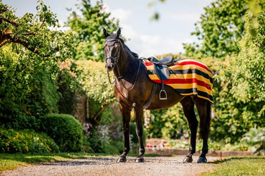 Horseware Ireland Newmarket Ear Net| Online For Equine