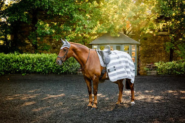 Horseware Ireland Newmarket Fleece Cooler Witney Charcoal| Online For Equine