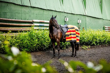Horseware Ireland Newmarket Fleece Cooler Witney Gold| Online For Equine