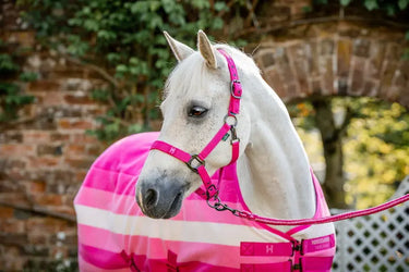 Horseware Ireland Newmarket Fleece Cooler Witney Pink| Online For Equine