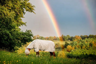 Horseware Ireland Newmarket Fly Mask Witney Charcoal| Online For Equine