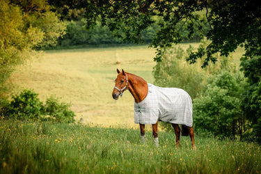 Horseware Ireland Newmarket Fly Sheet Witney Charcoal| Online For Equine
