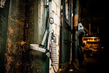 Horseware Ireland Newmarket Headcollar & Leadrope Witney Charcoal| Online For Equine