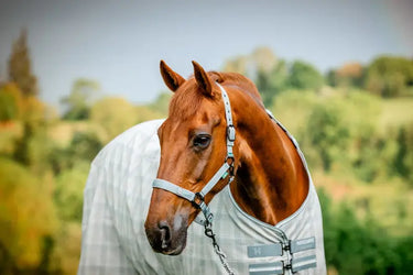 Horseware Ireland Newmarket Headcollar & Leadrope Witney Charcoal| Online For Equine