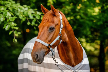Horseware Ireland Newmarket Headcollar & Leadrope Witney Charcoal| Online For Equine