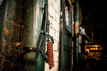 Horseware Ireland Newmarket Headcollar & Leadrope Witney Gold| Online For Equine