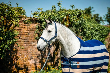 Horseware Ireland Newmarket Headcollar & Leadrope Witney Navy| Online For Equine