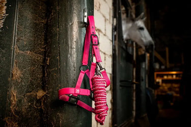 Horseware Ireland Newmarket Headcollar & Leadrope Witney Pink| Online For Equine