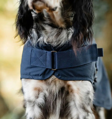 Horseware Ireland Newmarket Heritage Dog Coat| Online For Equine