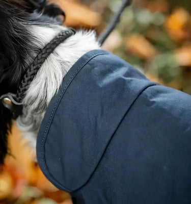 Horseware Ireland Newmarket Heritage Dog Coat| Online For Equine