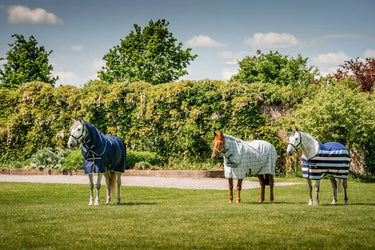 Horseware Ireland Newmarket Plus Rug Fly Sheet Witney Charcoal| Online For Equine