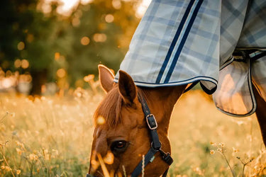 Horseware Ireland Newmarket Pony Plus Rug Fly Sheet| Online For Equine