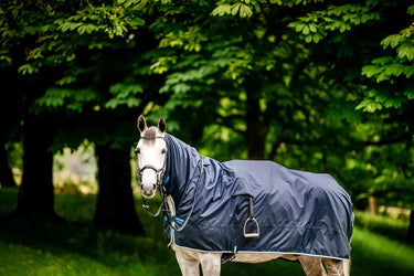 Horseware Ireland Newmarket Rain Sheet| Online For Equine