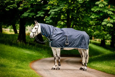 Horseware Ireland Newmarket Rain Sheet| Online For Equine