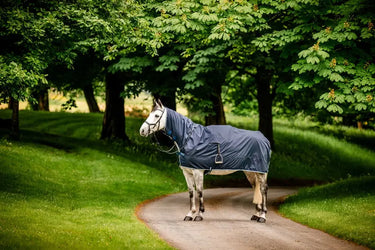Horseware Ireland Newmarket Rain Sheet| Online For Equine