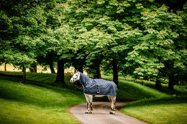 Horseware Ireland Newmarket Rain Sheet| Online For Equine
