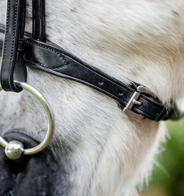 Horseware Ireland Pony Cavesson Bridle| Online For Equine