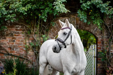 Horseware Ireland Pony Diamante Flash Bridle| Online For Equine