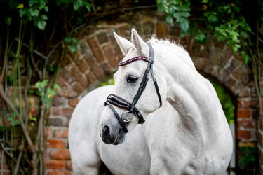 Horseware Ireland Pony Diamante Flash Bridle| Online For Equine