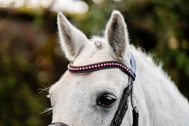 Horseware Ireland Pony Diamante Flash Bridle| Online For Equine